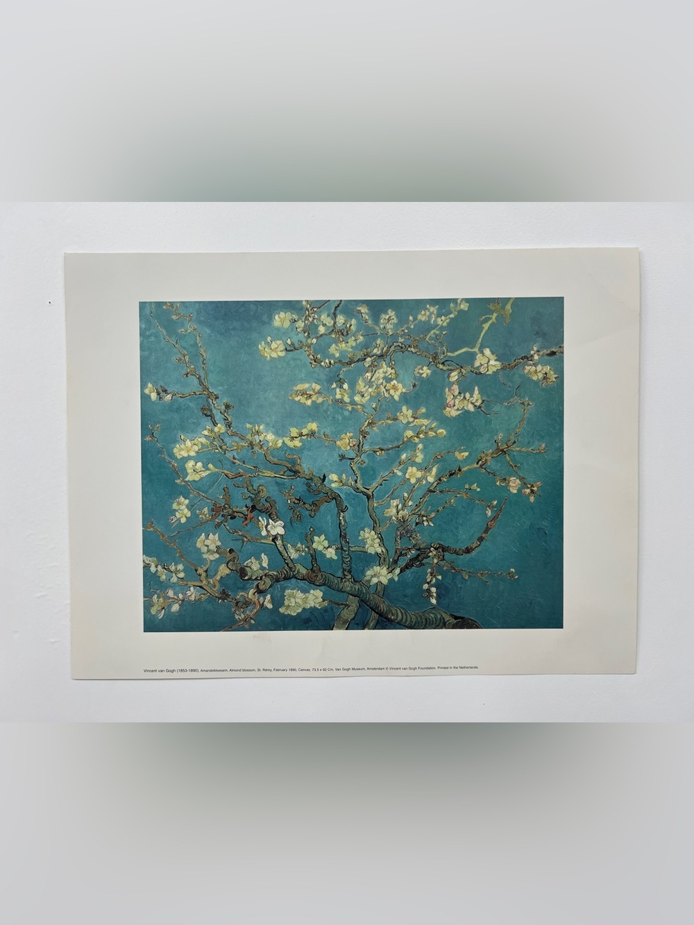 Vtg 90s Vincent Van Gogh Almond Blossom Art Print Lithograph LACMA Netherlands